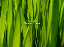 خیلی خیلی کوچک (1) (شب بیخوابی)